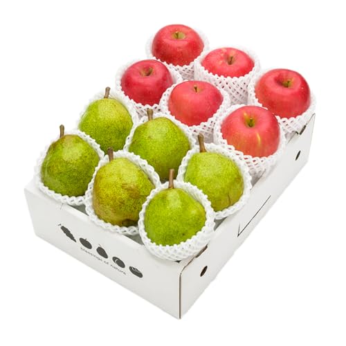 先行予約 サンふじ & ラ・フランス 秀品 詰め合わせ 計3kg 2026年産 12月上旬~1月中旬頃発送 ns-fsrlx3