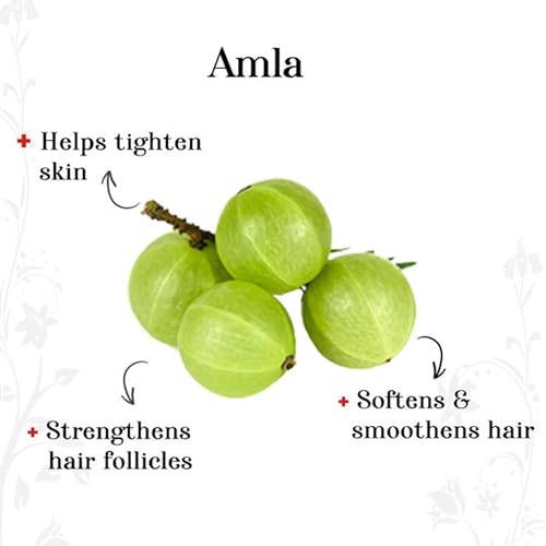 Image of 100% Pure & Natural Amla Powder For Hair Growth (200 grams) | Ideal for Skin & Hair Care