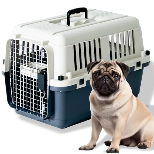 v`o ybgL[ DX60 Lp ^p ^p IATANA N[g 14kg܂ LTCY s60.5 x 40.5 x 40.5cm L 