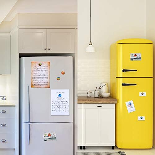 SOSMAR-24 Refrigerator Magnets - Decorative 3D Glass Notice Board Magnets with Tree Patterns for Kid's Drawing, Magnetic Whiteboard, Photo, Map, Office Magnets (Round/ 30mm)