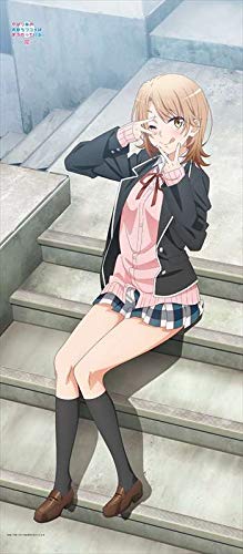 やはり俺の青春ラブコメはまちがっている。完　【描き下ろし】BIGタペストリー Amazon.co.jp: やはり俺の青春ラブコメはまちがっている。完