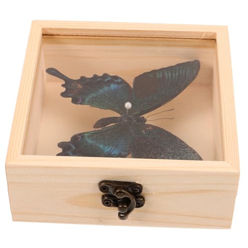 SOLUSTRE Butterfly Specimen Storage Box Wall Hanging Decor Wood Plastic Frame Specimen Display for Home Office