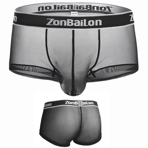 ZONBAILON Mens Sexy Underwear See Through Silk Boxer Pouch Briefs Breathable Mesh Trunks Pack