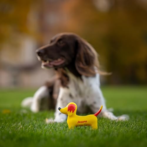 JosiDog Game in Sauce (12 x 415 g) | Adult | Premium Nassfutter für ausgewachsene Hunde | mit Wild in Sauce mit Vitamin D3 & E | Powered by JOSERA | Hundefutter nass | Alleinfutter | 12er Pack