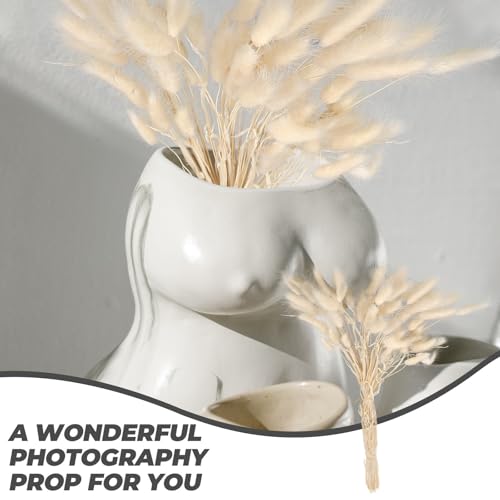 SILENRADAWN 天然乾燥うさぎのしっぽ草50個入り ホワイトのバニーテールパンパスグラス 写真撮影用小道具ホームDIYシーンデコレーションに最適なパーティー飾り付け用 [4]