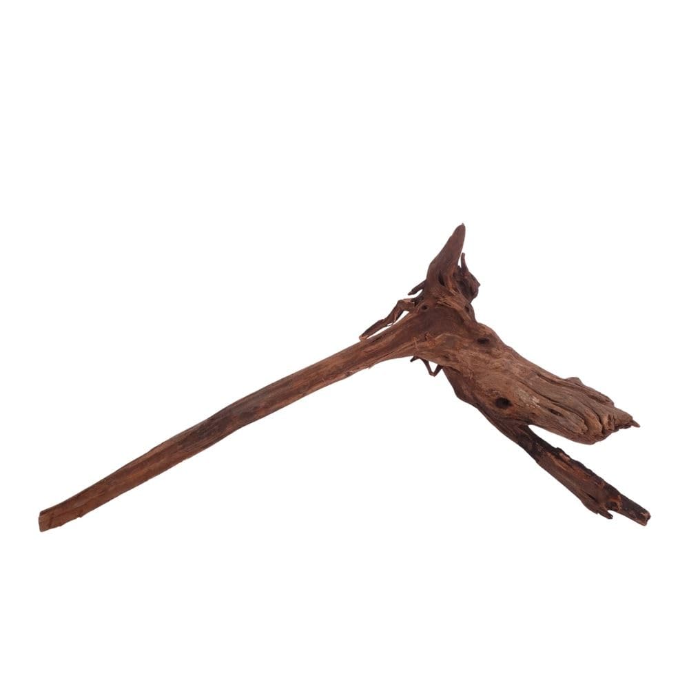 AquaOne Acuario Raíz Driftwood XL nº 3912 - Raíz de río Mangrove Madera Decorativa Paisaje Musgo Naturaleza Madera Auténtica