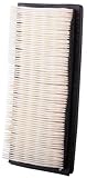 Air Filter Compatible With Pontiac Grand Prix 3.1L V6 1989 1990 PC-300465