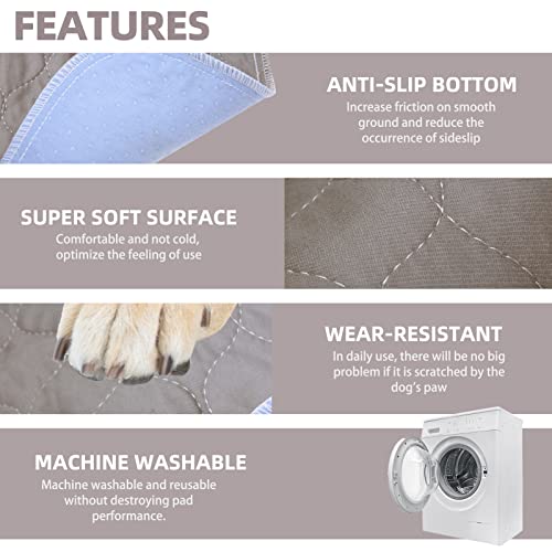 Pupteck Washable Pee Pads For Dogs - Waterproof Reusable Puppy Potty Training Pads Whelping Mat - Fast Absorption Non-Slip Pet Food Feeding Mat - Pad For Small Animals #TOP4
