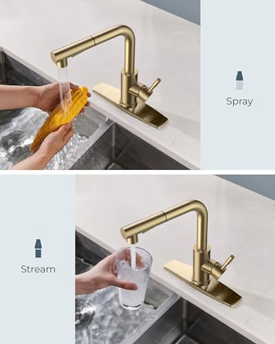 Image of FORIOUS Kitchen Faucet with Pull Out Sprayer, Single Handle, Brushed Gold