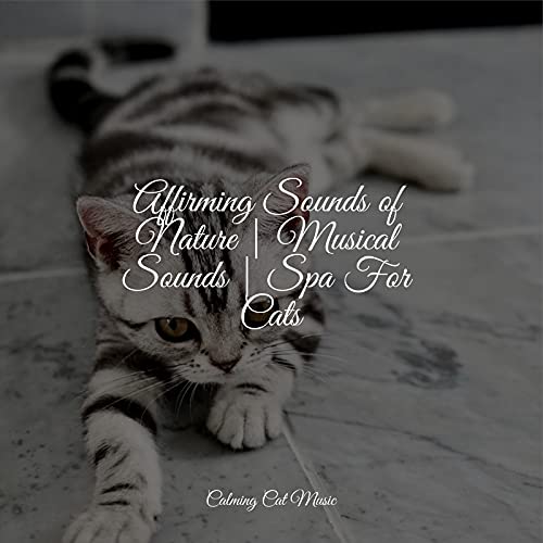 Affirming Sounds of Nature | Musical Sounds | Spa For Cats de Music for ...