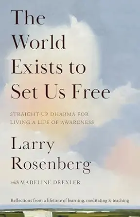 The World Exists to Set Us Free: Straight-Up Dharma for Living a Life of Awareness book cover