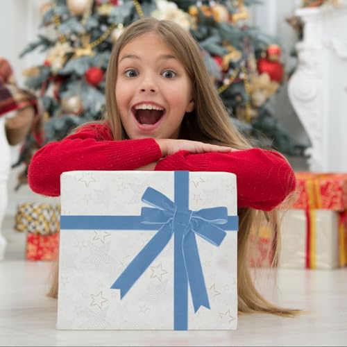 Image of Tsorode 10 Yards Black Velvet Ribbon 1 Inch for Christmas Tree,Velvet Christmas Ribbon for Gift Wrapping Crafts Bow Wreath Holiday Decorations (Blue, 1 inch-10 Yard)