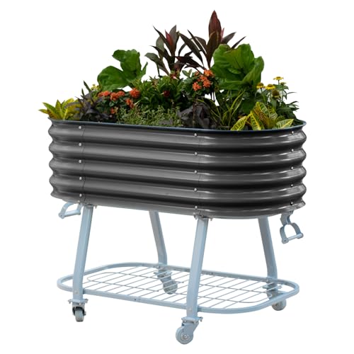 Vego garden 2x4 Elevated with Wicking System