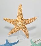 Starfish Tree Topper - Real Starfish - Coastal and Beach Style Christmas Decoration Beach Coastal Decor