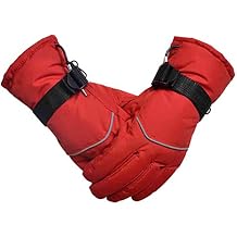 12V Montorcycle Heated Gloves, Motorcycle Charging Heated Gloves,Warmer Gloves, Full Finger Gloves for Snow Skiing Ice Skating Riding Motorcycle,B