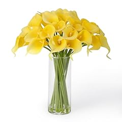 Calla Lily-yellow