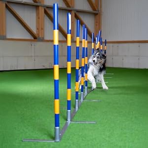 Callieway CA028 Agility Slalom 12 Stangen
