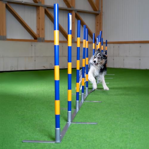 Callieway Orig Agility Slalom, TRICHTERSLALOM®, Gassenslalom, Agility Channel Weaves (FCI konform)