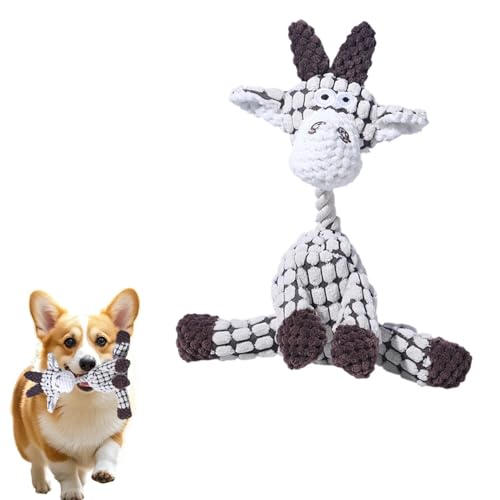 Lifetips EFVER[M[Eyu[N pʂ  XNC[J[ JVJV {AR[fC y v @OK ^ q VjA XgX p pʂ  XNC[J[ @Ő