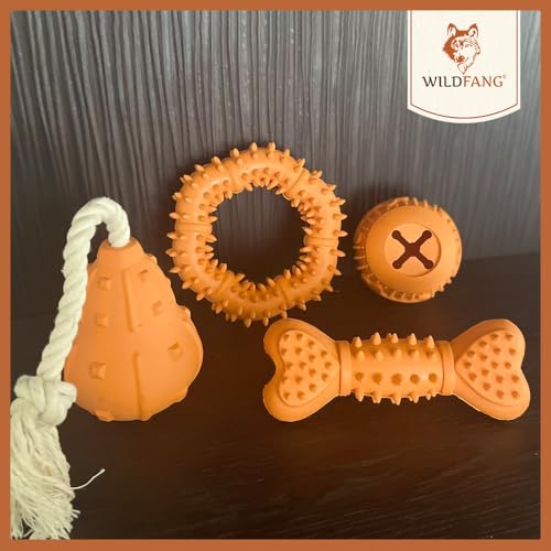 Wildfang® Spielzeug für Hunde aus 100% Naturkautschuk | Snackball Simba - nahezu unzerstörbar - Kauspielzeug für Hunde - ungiftig - Kauknochen für Hunde - BPA-frei - umweltfreundlich
