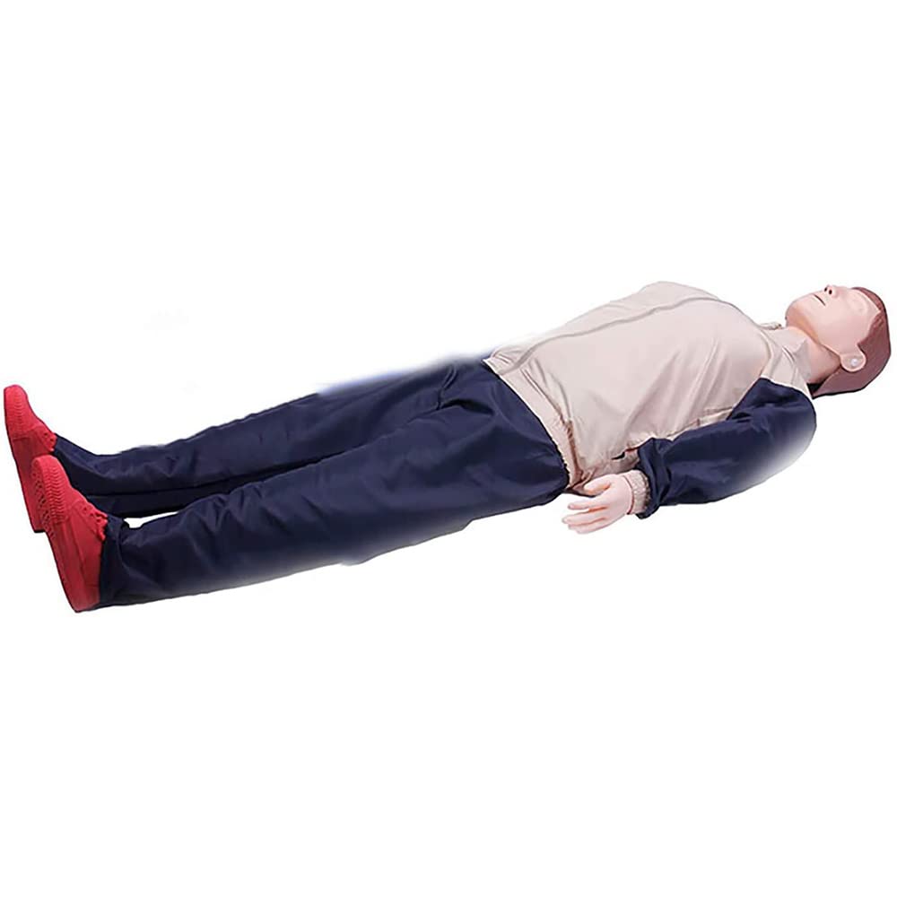 Buy ZCBYBT CPR Whole Body Medical Emergency Dummy Cardiopulmonary