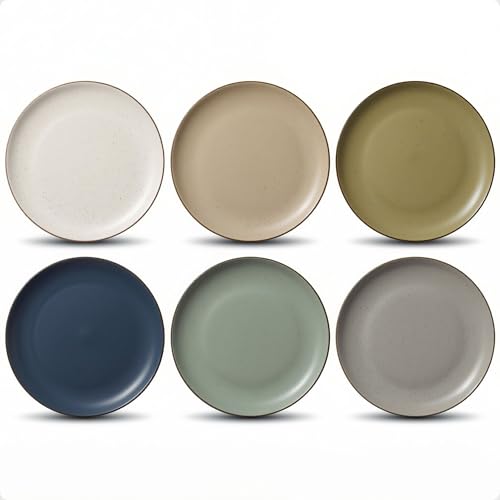 Ceramic Dinner Plates Set of 6 - 10.25 Inch Diameter Stoneware Plates - 6 Beautiful Colors - Dishwasher, Microwave, Oven, and Freezer Safe Colorful Plate Set for 6 - Large Capacity for Full Meals