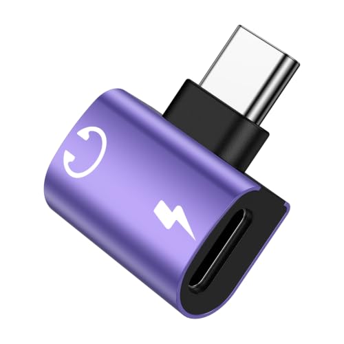 Type C to Type C �C���z���ϊ� �A�_�v�^�[ 2in1 �^�C�vC �C���z���W���b�N DAC���� Hi-Fi���� PD 60W �}���[�d �����g�p�\ ���ʒ��� �����ʘb iPhone17/16/15/iPad/Android/Type C�Ή�