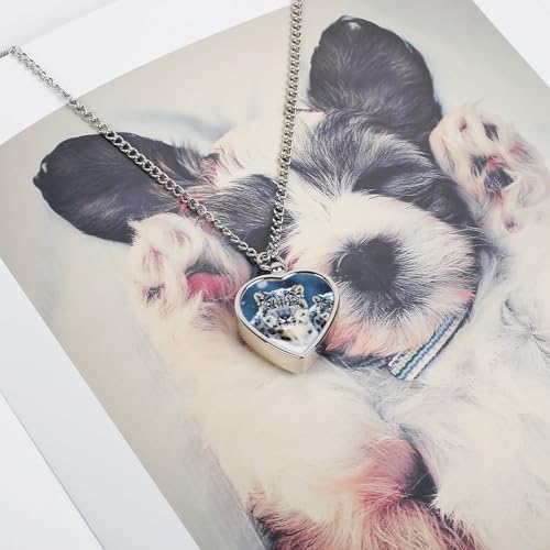 Collier urne pour cendres d'animaux : solution de deuil avec kit entonnoir