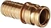 Dixon 200-E-BR Brass Boss-Lock Type E Cam and Groove Hose Fitting, 2" Plug x 2" Hose ID Push-On