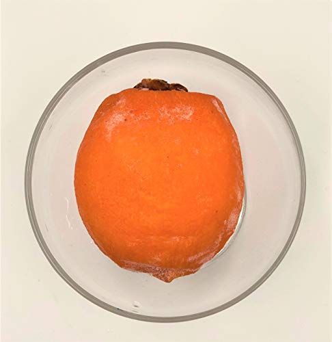 【KIMONO FRUITS】冷凍柿 あんぽ柿(徳島産)大玉8個入り 徳島産 無添加 干しあんぽ柿の短い旬の美味を凍らせました。徳島産 贅沢なあんぽ柿です。