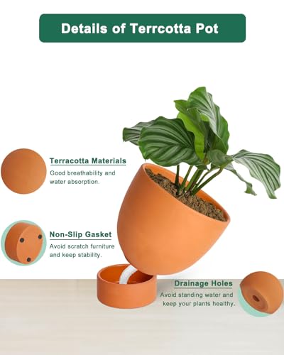 vensovo Terracotta Self Watering Plant Pot - 2 PCS 6 Inch & 8 Inch Terra Cotta Plant Pot with Drainage Hole and Saucer, Small & Large Clay Flower Pot with Tray, Planter for Indoor Outdoor
