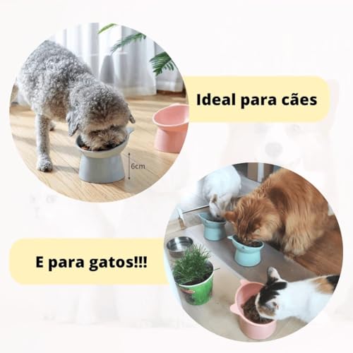 Alimentador de cerâmica para gatos Alimentador e bebedouro Gatinho levantado na posição correta (Ros