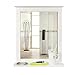 HOMFA Wall Mirror Bathroom Vanity Mirror Makeup Mirror Framed Mirror with Shelf Hanging for Home Multipurpose White