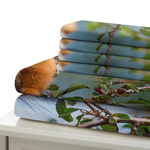 Housse de couette rat hypoallergénique ultra douce en microfibre 3D - 7