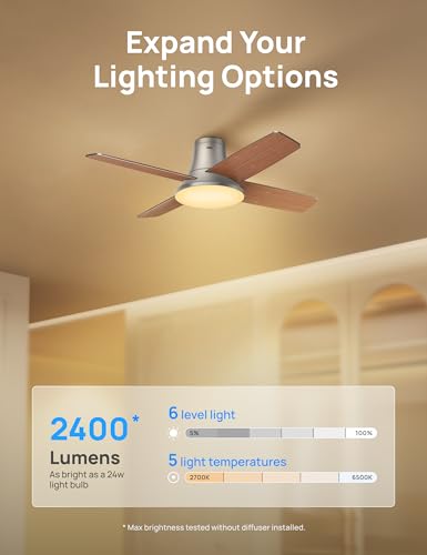 Image of DREO Ceiling Fan, 44 Inch Low Profile Ceiling Fan with Light and Remote, 5CCT LED, 6-Level Dimmable, 6-Speed, Reversible Motor, 22 dB, Timer, Easy-Install, Black Flush Mount for Bedroom