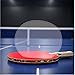 Cauaoa 4 Pcs Transparent Table Tennis Rackets Adhesive Protective Film Adhesive Protective Film for Table Tennis Rubber Protector Table Tennis Rackets Maintenance Cover Table Tennis Accessories