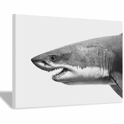 Toile requins féroces pour habiller un mur vide de bureau ou salon
