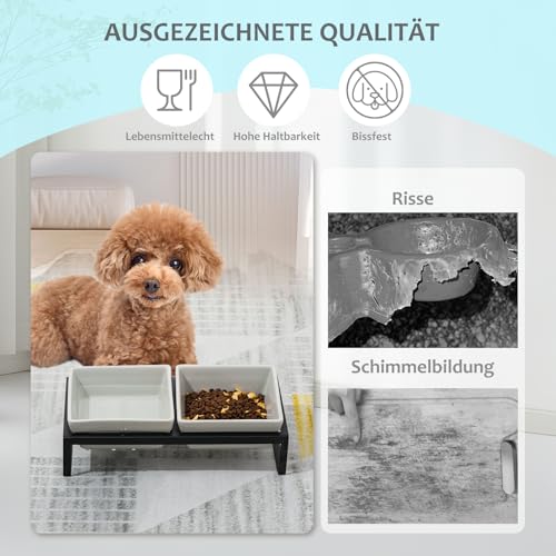 Erhöhter Futternapf für Hunde – Keramik Hundenapf für mittelgroße Hunde – doppelte Schüssel für Hunde mit Halterung – 2 × 1000 ml