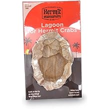 Flukers Lagoon for Hermit Crabs, Water Bowl with Steps