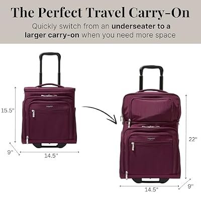 Baggallini Expandable Underseat Carry-On