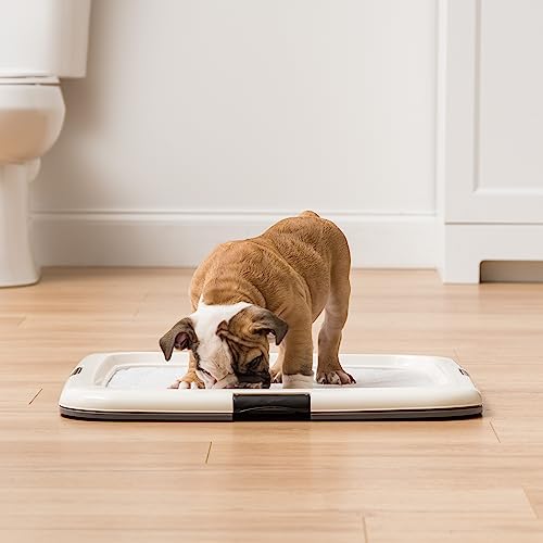 Iris Usa 23.0" X 22.75" Square Pee Pad Holder, Pet Puppy Small Medium Dog Incontinence Potty Training Pad Tray, Dark Gray #TOP2