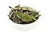 Rare, Aged 2017 White Loose Leaf Tea - Bai Mu Dan style from Fujian, China