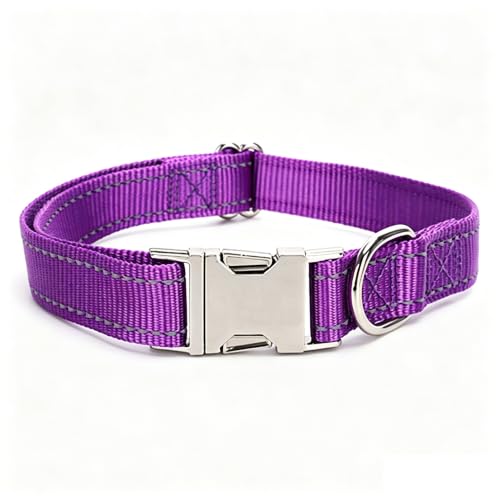 Collier chien réfléchissant boucle rapide mauve