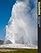 Yellowstone National Park: First of the Last Wild Places (A 10x13 Book©)