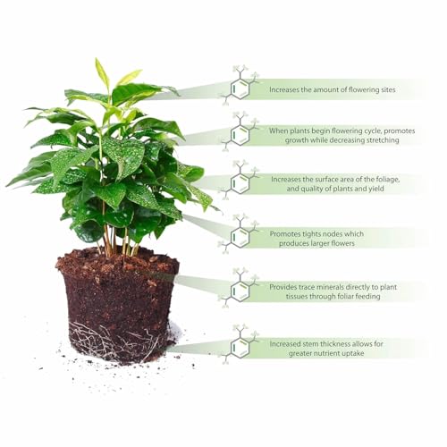 Cristales para retener agua para plantas, 1 lb miniatura 3