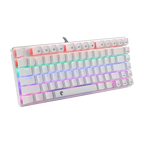 HUO JI 60% Mechanical Gaming Keyboard, E-Yooso Z-88 with Blue Switches, Rainbow LED Backlit, Compact 81 Keys, Silver and White Cover