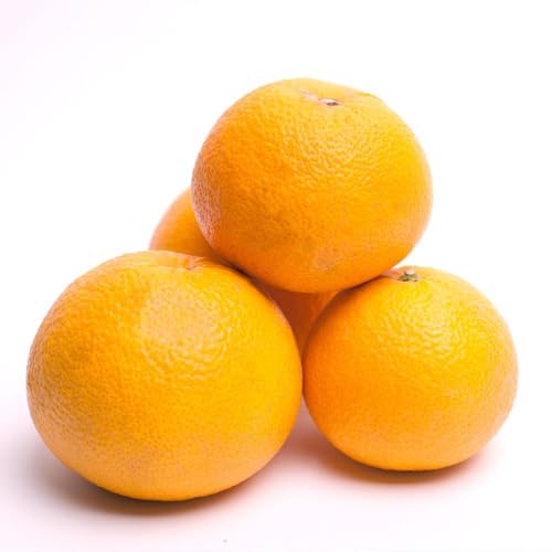 [先行予約]厳選 樹上完熟はっさく5kg+250g(傷み補償分)[光センサー選別][IKE33]