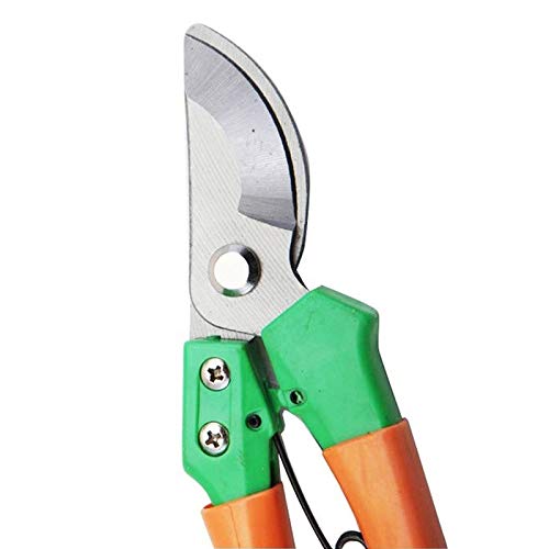 Forbici da potatura Professionali da Giardino affilate Forbici per Rami a Mano Forbici da potatura Cesoie da Giardinaggio Potatore Trimmer Strumenti di potatura