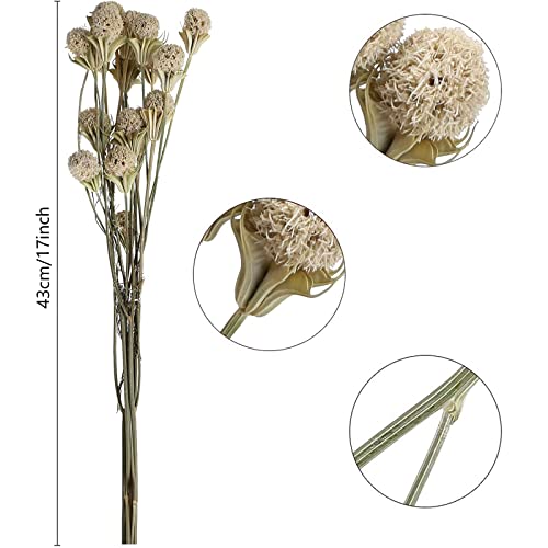 Xhxstore 40 Balls Natural Dried Flowers Bouquet Fall Craspedia Billy Button Flowers Stems Dried Plants Dried White Flower For Fall Dried Floral Wedding Table Vase Home Decor (17") #TOP6