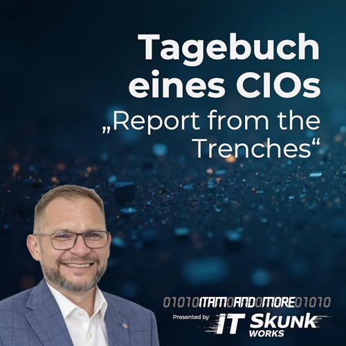 Tagebuch eines CIOs - "Report from the Trenches" - Teil 25